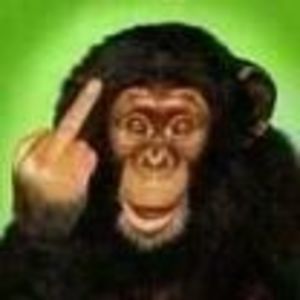 Meet your Posher, Lance